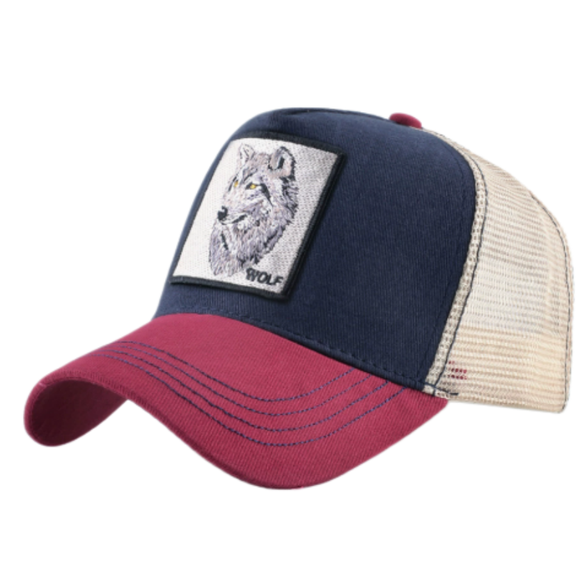Boné de Beisebol com Bordado d - Trucker Cap Mesh avaliação e preço